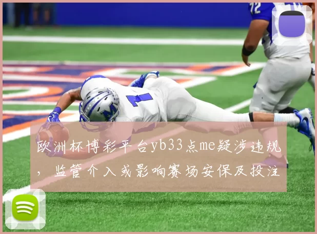 欧洲杯博彩平台yb33点me疑涉违规,监管介入或影响赛场安保及投注