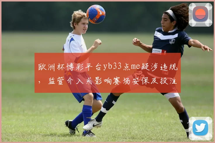 欧洲杯博彩平台yb33点me疑涉违规,监管介入或影响赛场安保及投注