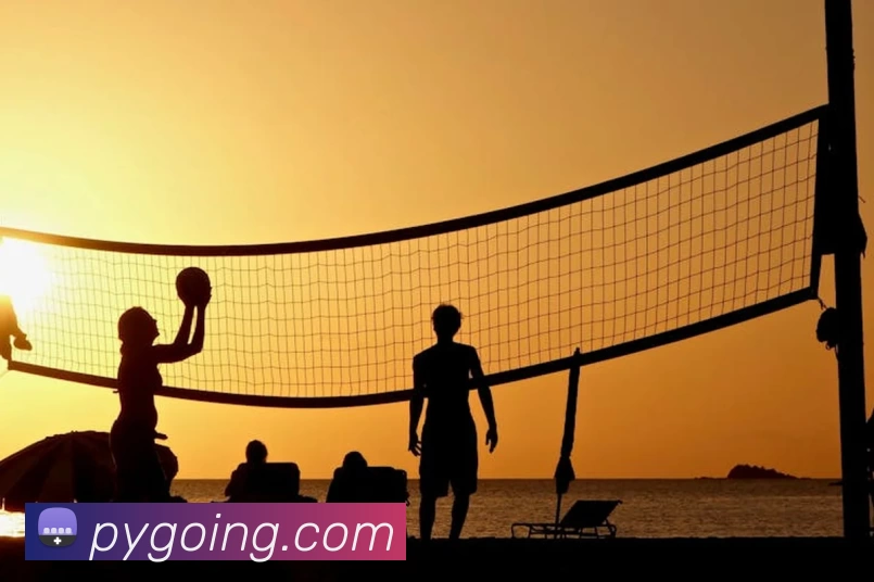 多媒体互动体验