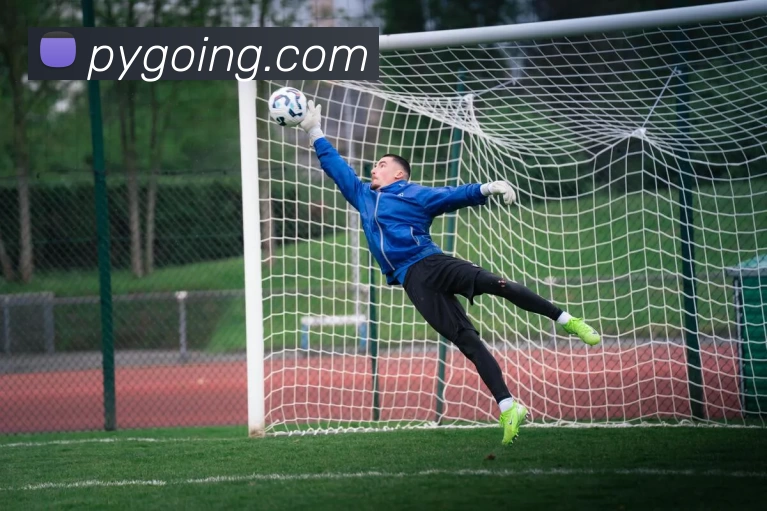 欧宝app登录入口 - 欧宝(中国)APP 高清赛事图